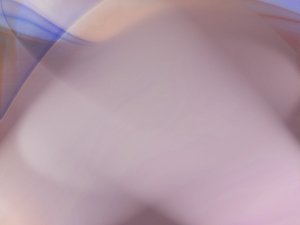 审计风控